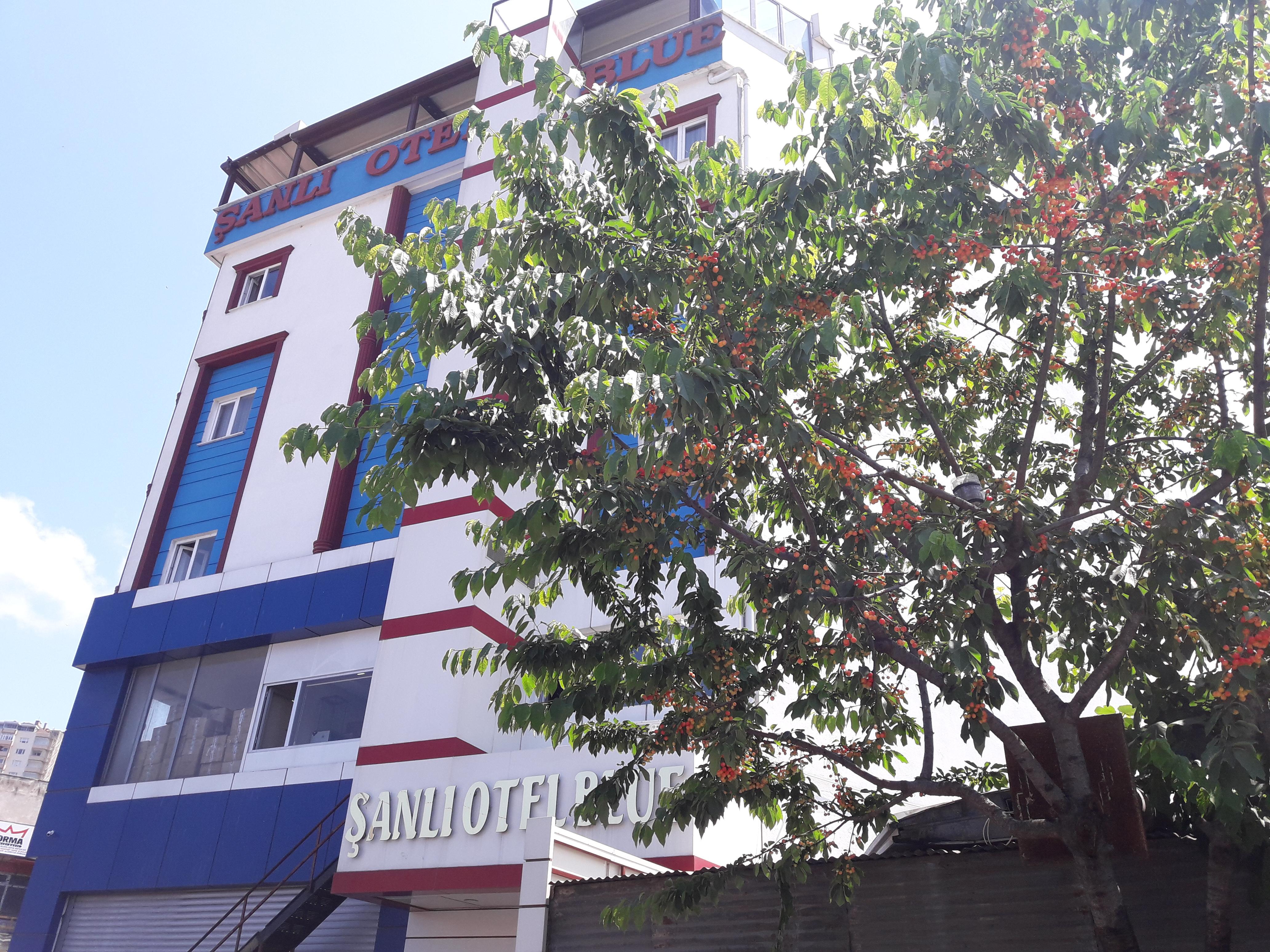 Sanli Hotel Blue Trabzon Eksteriør bilde